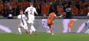 ned fin 38.1.gif